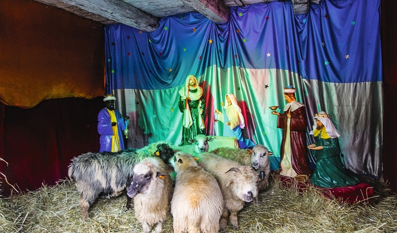 FOT. FACEBOOK, PIXABAY, WIKIPEDIA