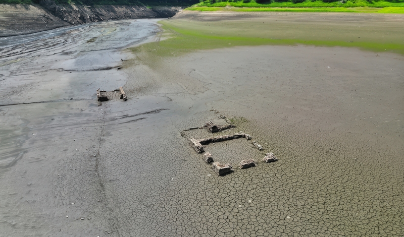 FOT. LWOWECKIINFO, SMOGLAB, FACEBOOK, TOMASZ HAMRAT/GAZETA POLSKA