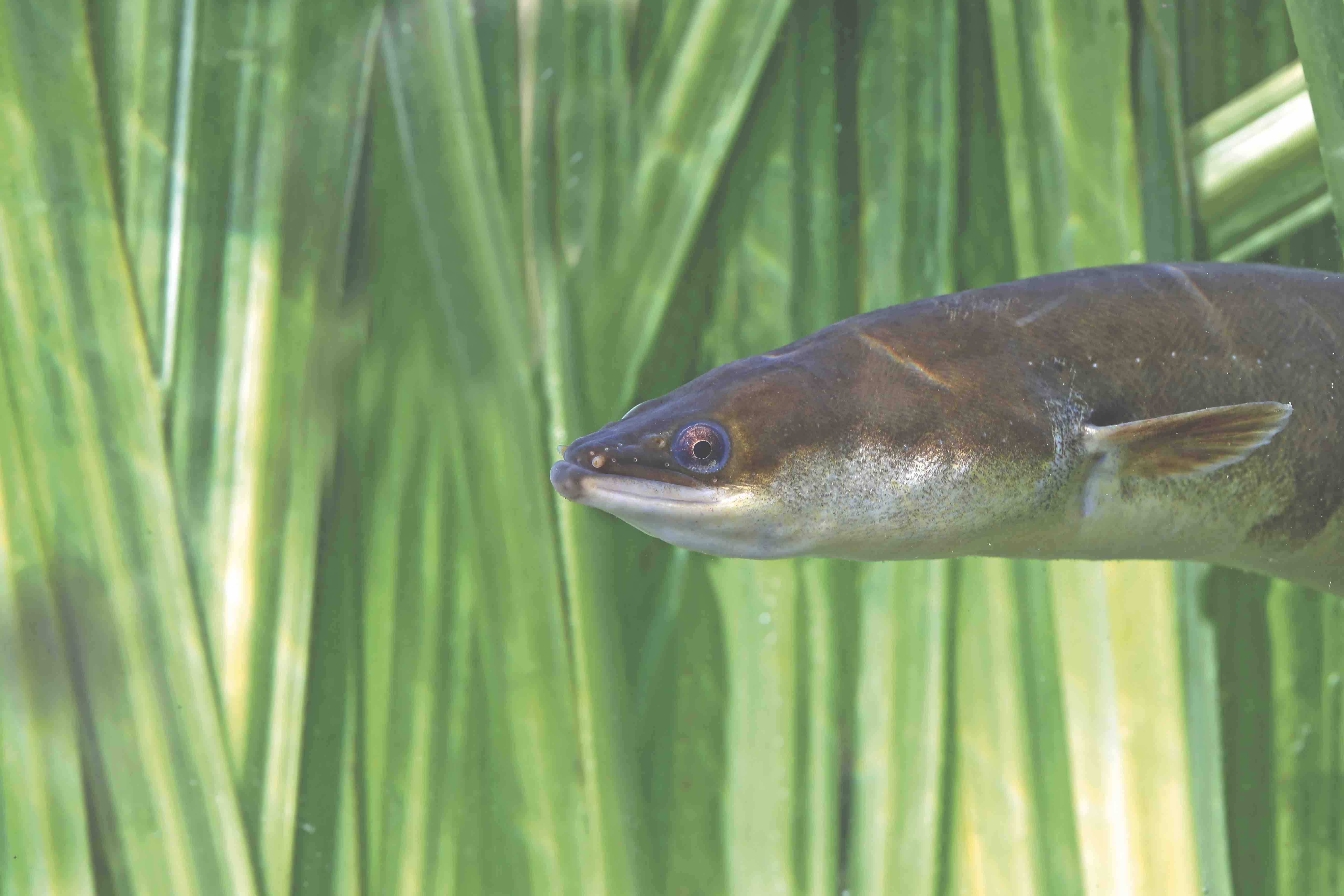 fot. adobe Stock, CC.