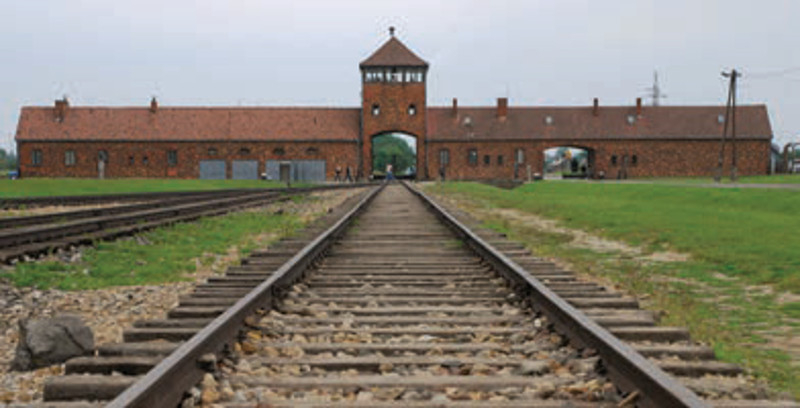 fot. Nanuk/Gazeta Polska