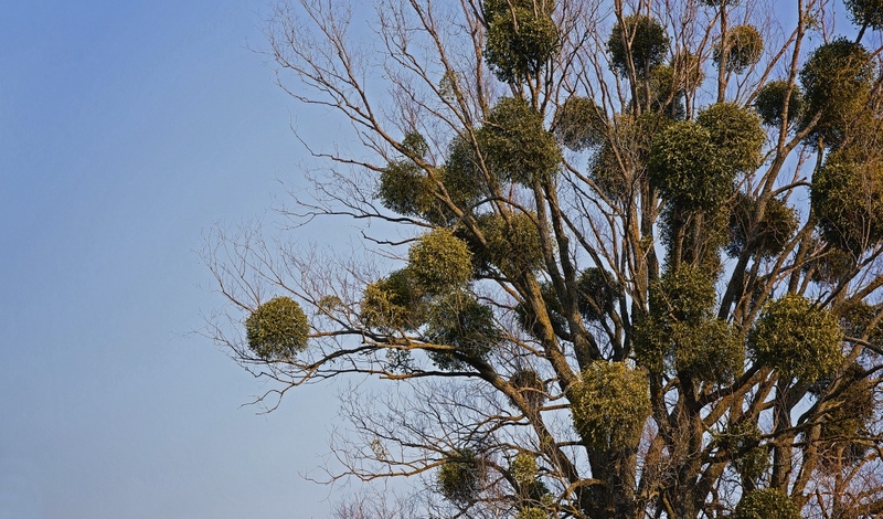 ©Katerina Bond - stock.adobe.com