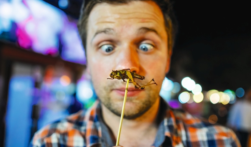 FOT. ADOBE STOCK PLATFORM, WIKIPEDIA, PIXABAY