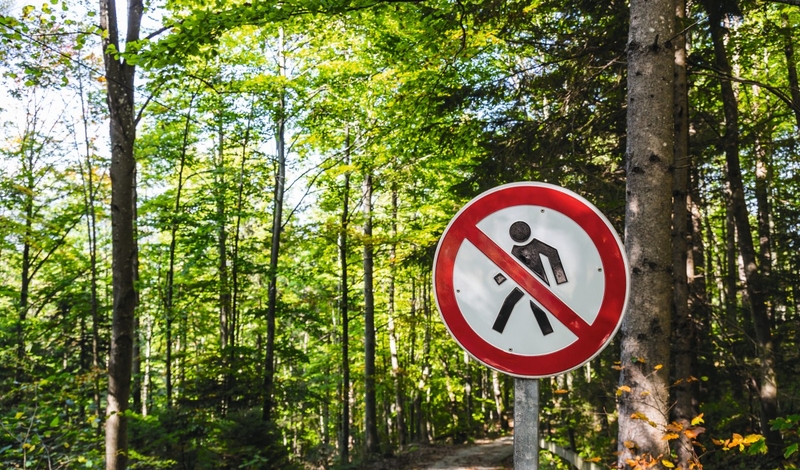 FOT. ADOBESTOCK / stock.adobe.com