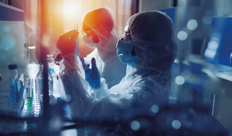 FOT. ADOBESTOCK / stock.adobe.com