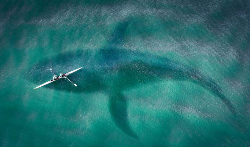 FOT. PIXABAY, WIKIPEDIA, FACEBOOK