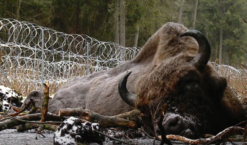 FOT. FACEBOOK/ADAM WAJRAK