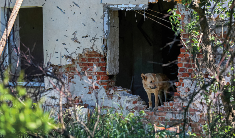 FOT. IVAN ALVARADO/REUTERS/FORUM
