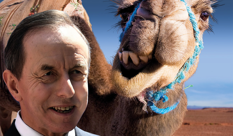 PROJEKT OKŁADKI: TREVOR, FOT. PIOTR NOWAK/PAP, ADOBE STOCK