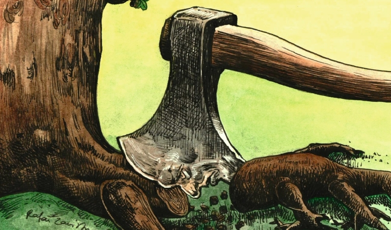 RYS. RAFAŁ ZAWISTOWSKI