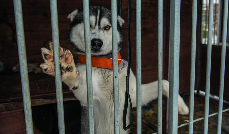 FOT. FILIP BŁAŻEJOWSKI/GAZETA POLSKA