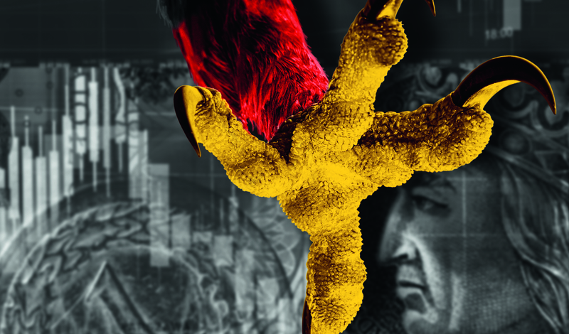 OKŁADKA: TREVOR. FOT: ADOBE STOCK