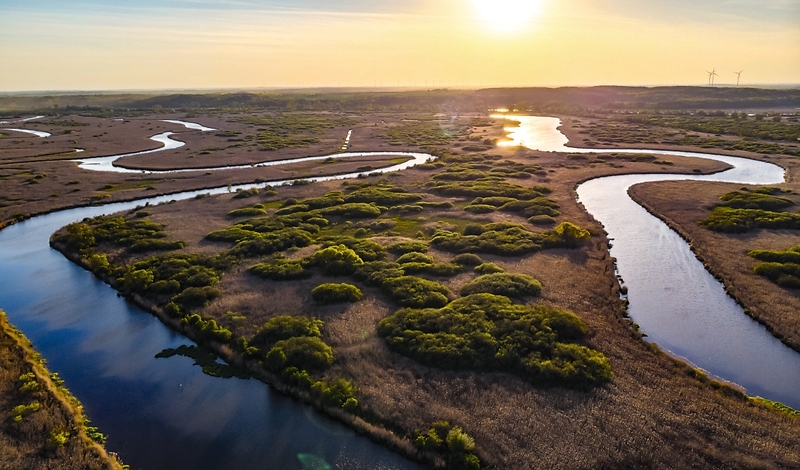 FOT. WIKIPEDIA, FACEBOOK