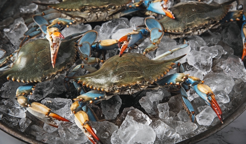 FOT. WIKIPEDIA, FACEBOOK