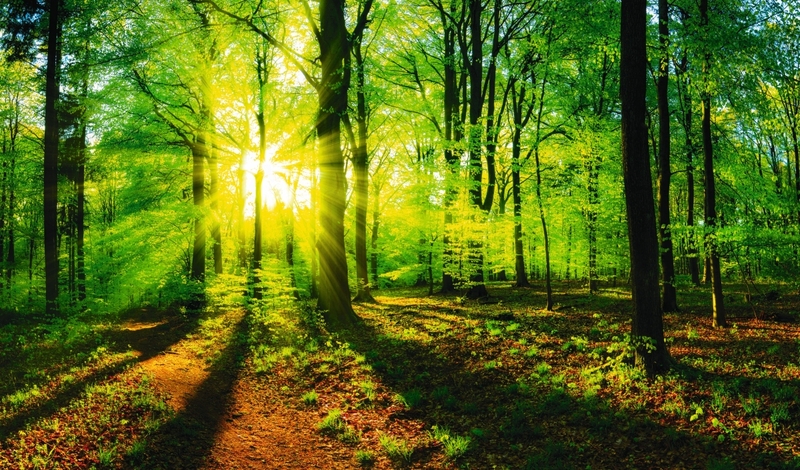 FOT. ADOBE STOCK, PIXABAY, MON.GOV.PL, FACEBOOK