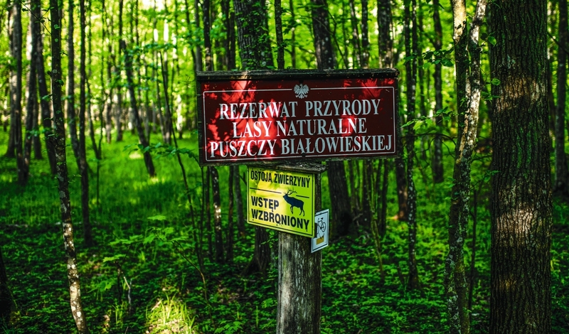 FOT. AGENCJA WSCHOD / FORUM, FACEBOOK, LASY PAŃSTWOWE, ADOBE STOCK, WIKIPEDIA