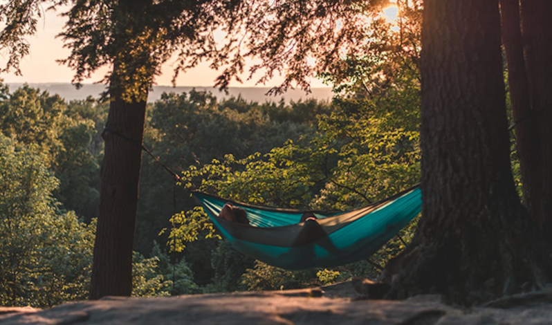 Hamak w lesie / pexels.com/ru-ru/photo/1229753/