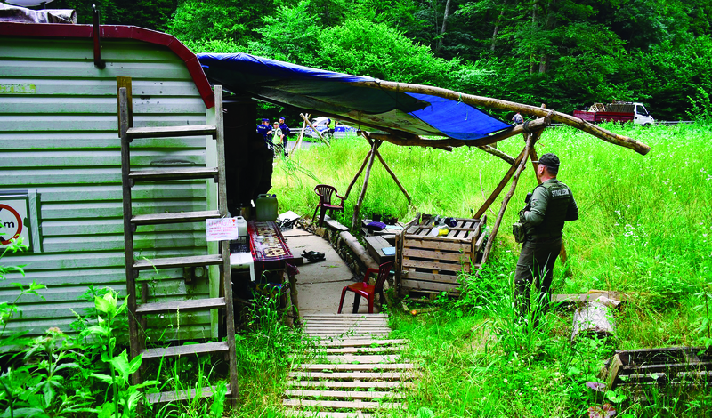 fot. mat. pras. Lasy Państwowe