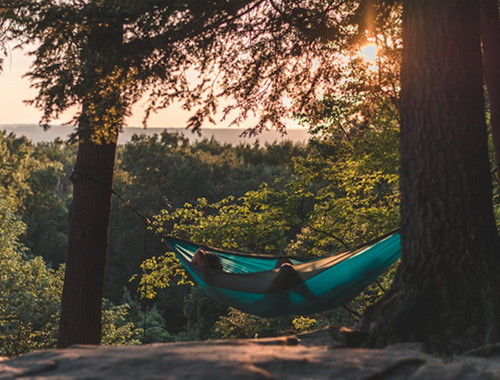 Hamak w lesie / pexels.com/ru-ru/photo/1229753/