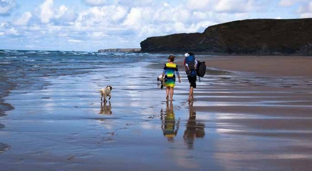 foto. Stefan Schweihofer/Pixabay