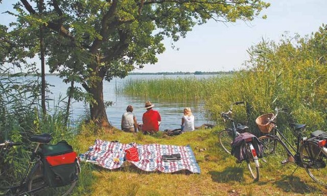 foto. Mrs Brown/Pixabay