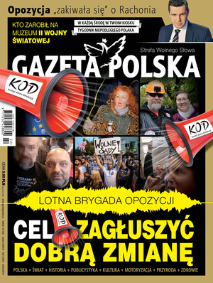 Nr 22 z 30 maja 2018