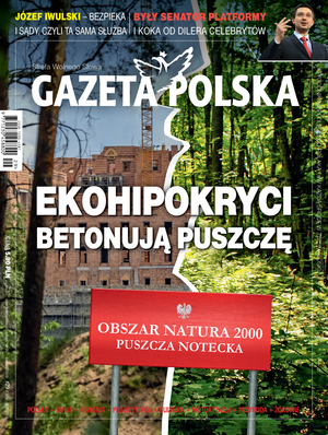 Nr 29 z 18 lipca 2018