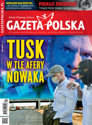 Nr 31 z 29 lipca 2020